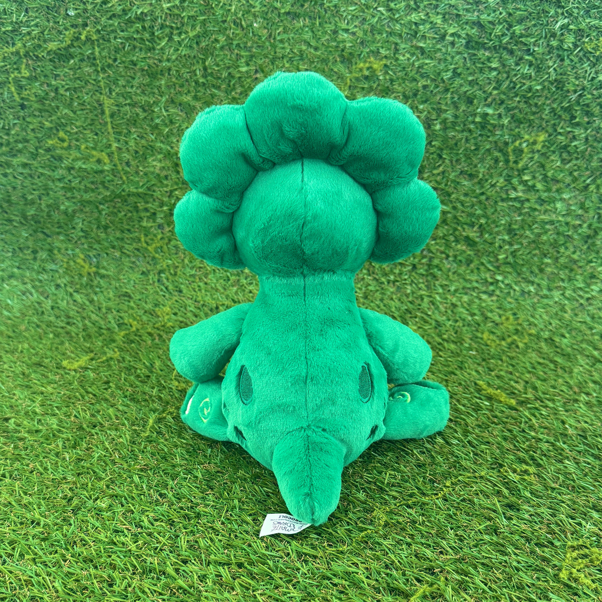 BROCOLI