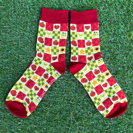 Socks - Carreaux X Dinos (ÉDITION POMMES FÂCHÉES)
