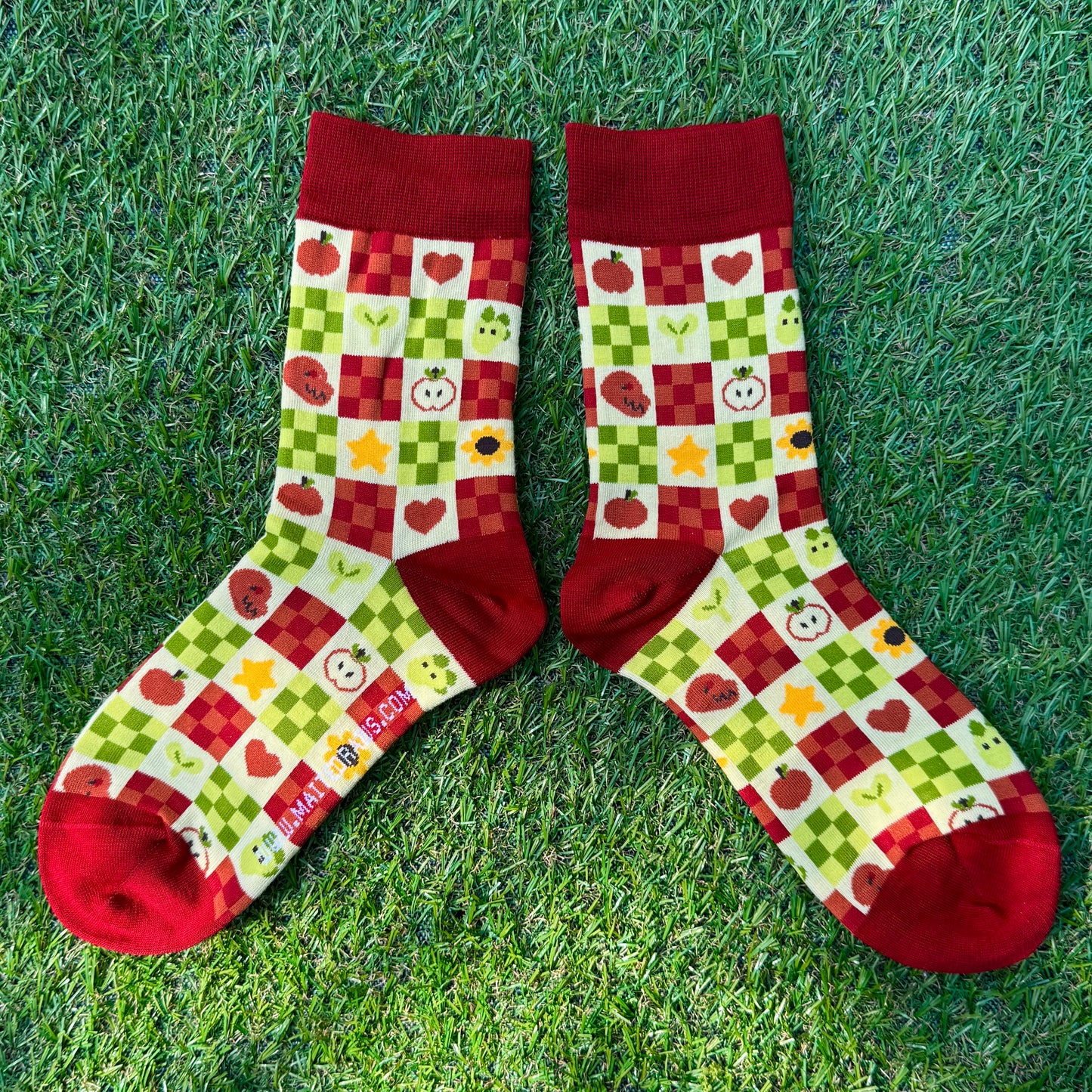 Socks - Carreaux X Dinos