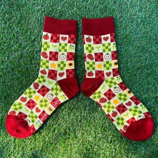 Socks - Carreaux X Dinos